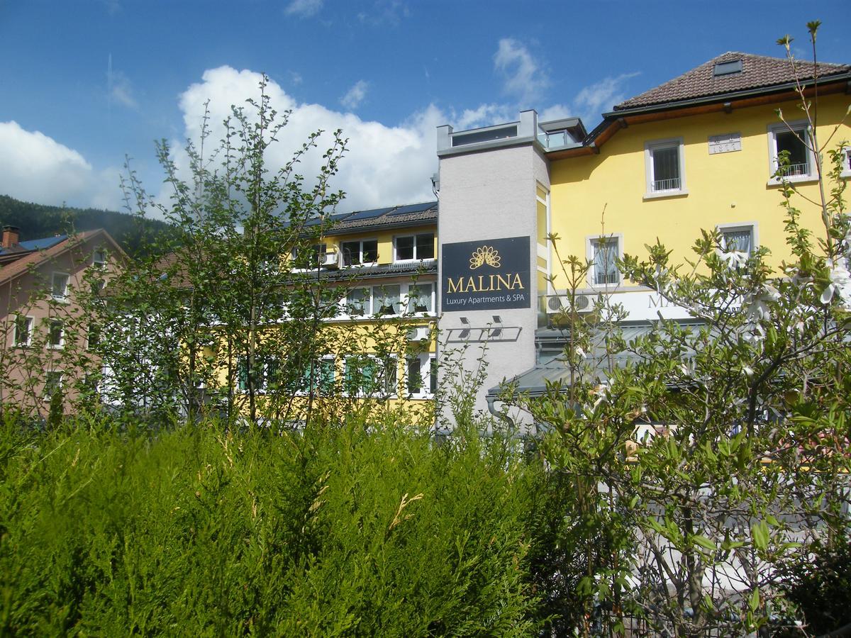 Malina Luxury Apartments And Spa Todtnau Exteriör bild